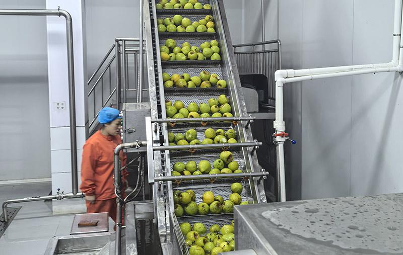 梨膏生產(chǎn)線